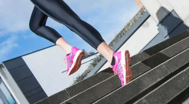 Нужен ли птицеедам с розовыми пальцами ног тепло?