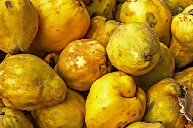 Как часто можно использовать удобрения для рыб?