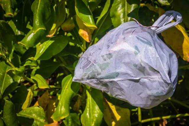 Как уберечь комаров от садового пруда?