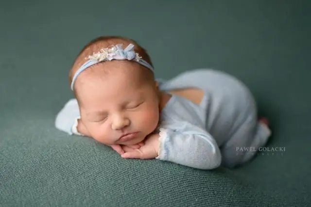 Сколько времени нужно песчанкам, чтобы родить детей?