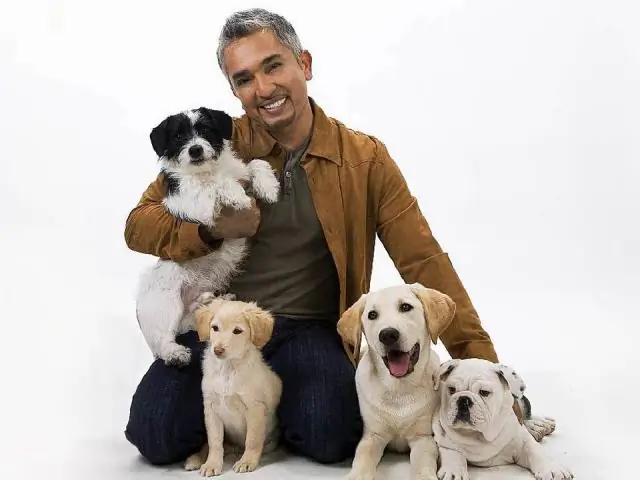 Где сейчас живет Сезар Миллан?