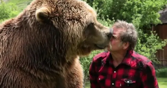 Как сохранить моховые шары живыми?