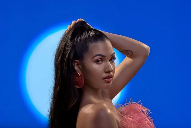 Сколько живет гималайская кошка?