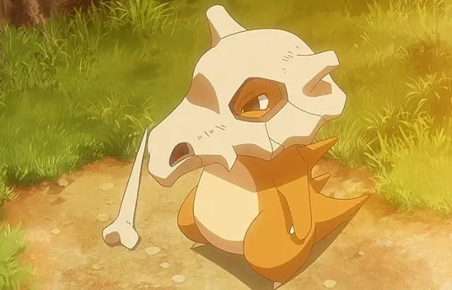 Как выглядит принт горного льва?