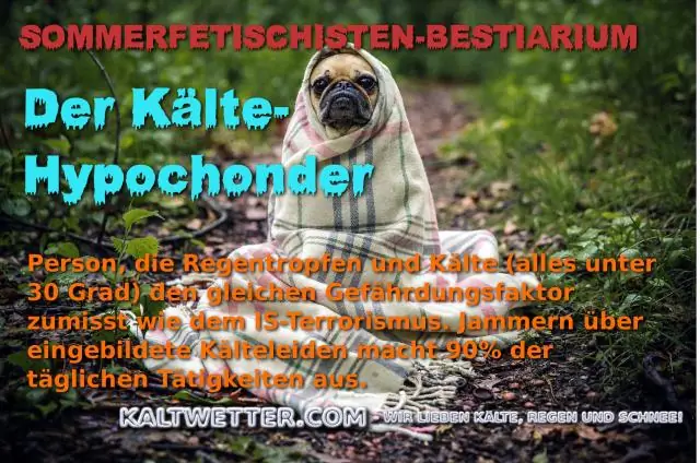 Какая дверца для собак лучшая в холодную погоду?