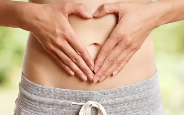 Насколько большим должен быть вольер для собаки?