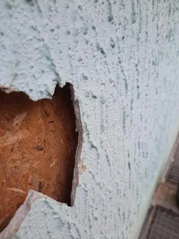 Как узнать, есть ли у вас в доме белка?