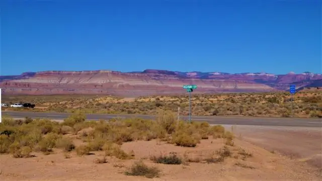 Есть ли в Техасе собака штата?