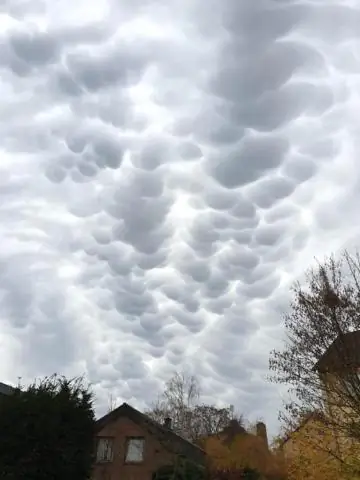 Как получить колибри?