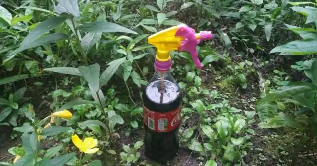 Что можно спрей от сверчков?