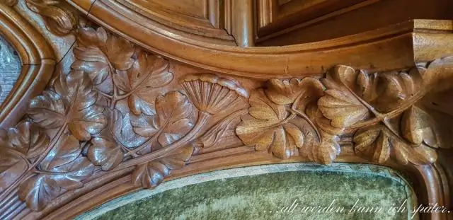 Как превратить головастика в лягушку?