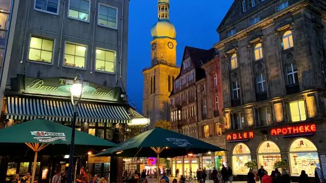 Для чего нужен террариум?