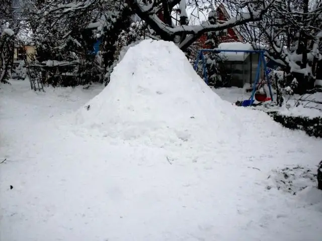 Как мне заставить попугая все пережевывать?