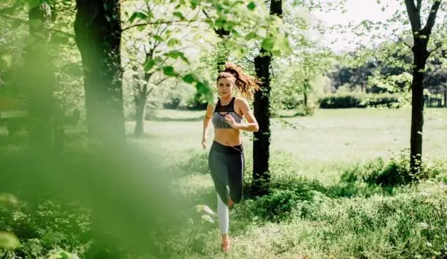 Почему кролики быстро бегают?