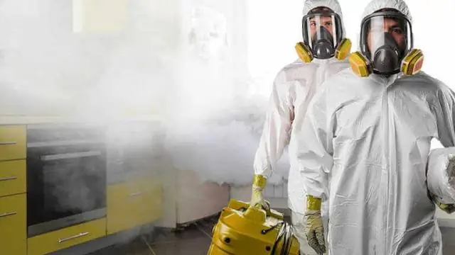 Могут ли черепахи избавиться от сальмонеллы?