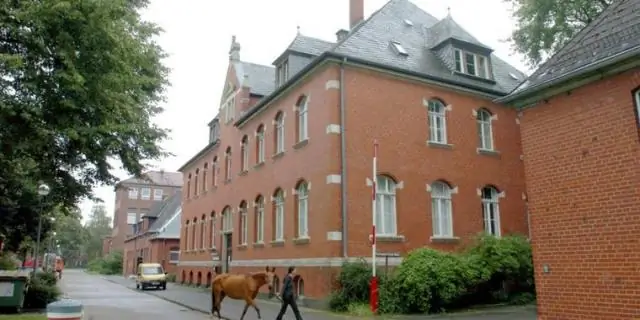 Каковы шансы попасть в ветеринарную школу?