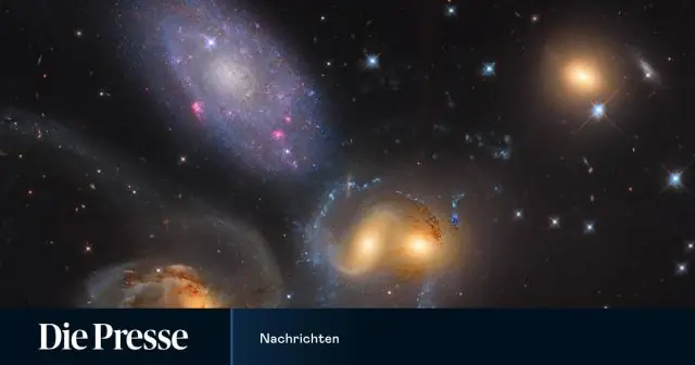 Сколько собак в мире?