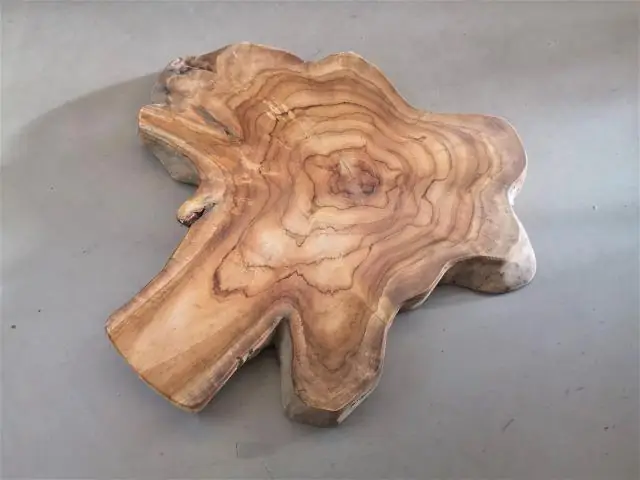 Что характерно для всех экдизозоев?