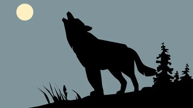 Почему СЕРЫЕ волки были возвращены в Йеллоустон?