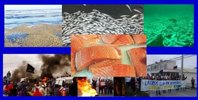 Как долго лосось находится в стадии жарки?