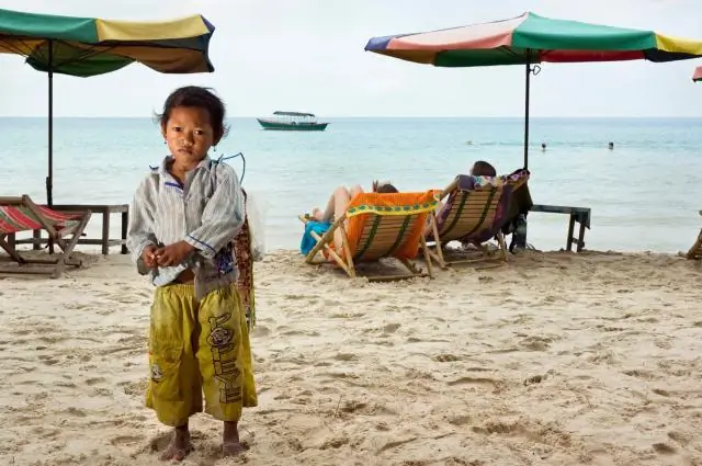 Где взять раненую дикую птицу?