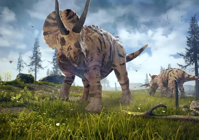 Бывают ли у динозавров месячные?