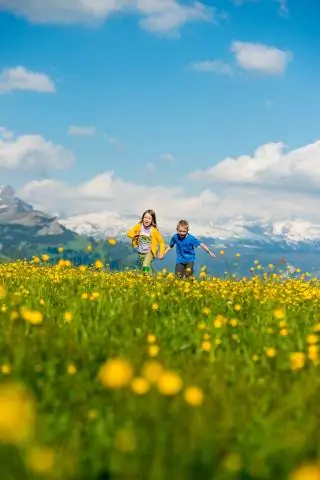 Нужны ли Орандас обогреватели?