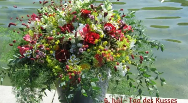 Как вы выращиваете Juncus spiralis?