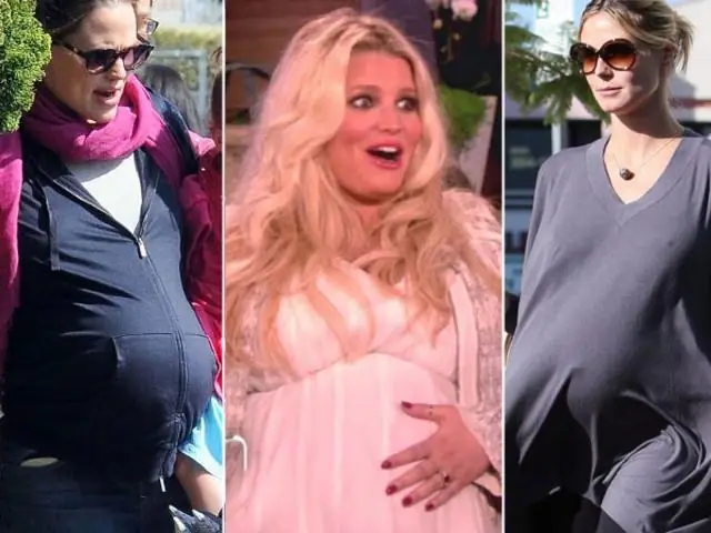 Как малиновки беременеют?