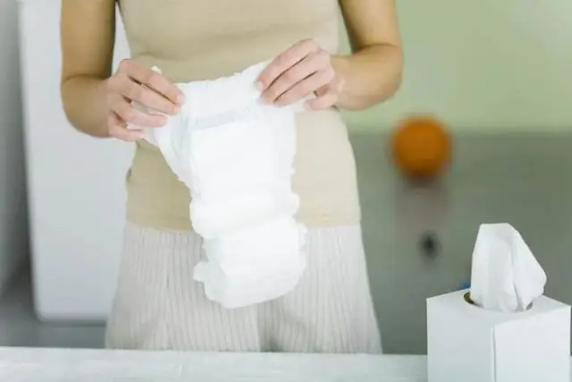 Что вы будете делать, если найдете черепаху-суслик?