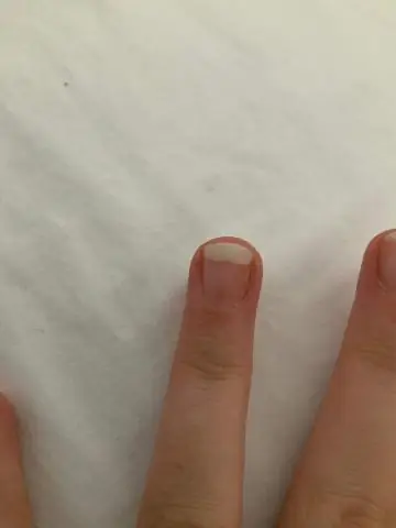 Как я узнаю, что мой кролик нидерландский карлик?