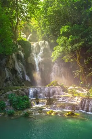 Стоит ли справка ветеринарного врача?