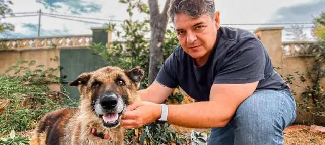 Сколько времени нужно борной кислоте, чтобы убить блох?