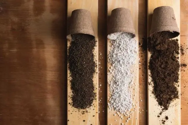 Какой тип почвы нужен драконовому дереву?