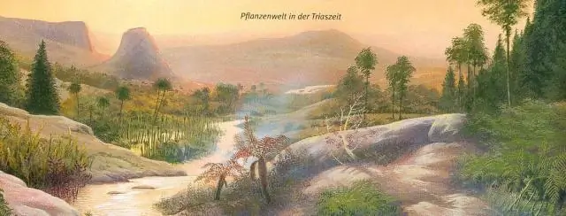 Какие растения были в триасовый период?