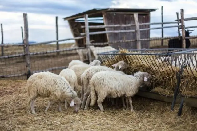 Как мне не дать животным зарыться под мой сарай?