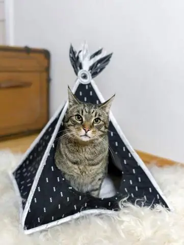 Безопасны ли листья фиговых деревьев для кошек?