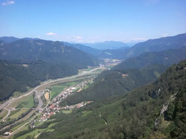 Находятся ли гекконы под угрозой исчезновения?