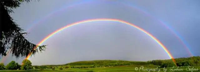 Работает ли чудо природы на Skunk?