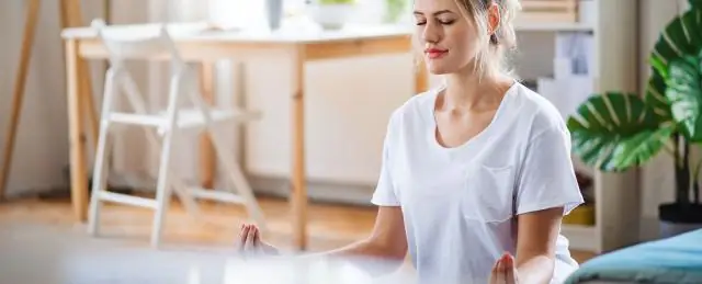 Какой тип организма у планарий?