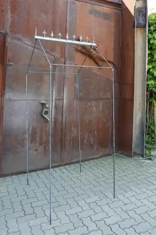 Во что превращается гусеница-рогоносец?