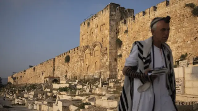 Археологические раскопки обнаружили свидетельства одомашнивания индюков 1500 лет назад: яичная скорлупа и кости индюшат - одни из самых ранних свидетельств одомашнивания индюков