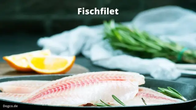 Бисфенол А в консервированном корме для собак может увеличить концентрацию BPA у домашних животных: исследователи также обнаружили микробиом кишечника и метаболические изменения, которые могут иметь п