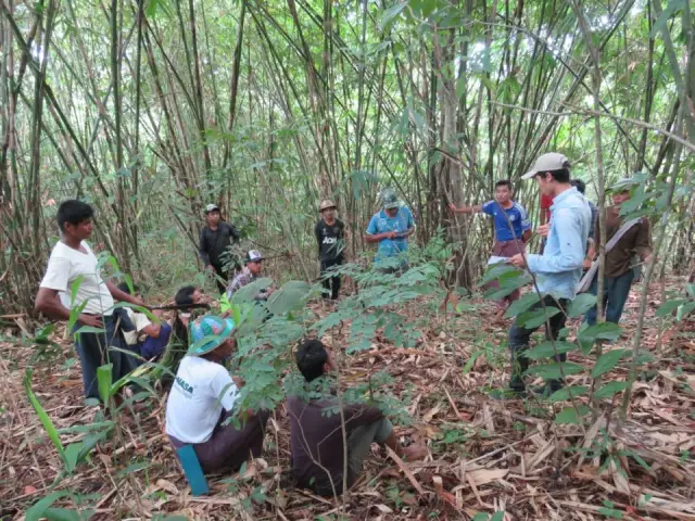 Воздействие изменения климата на микробное биоразнообразие: Изменение климата сильнее всего влияет на биоразнообразие в наиболее естественных средах, а также в средах, наиболее богатых питательными ве