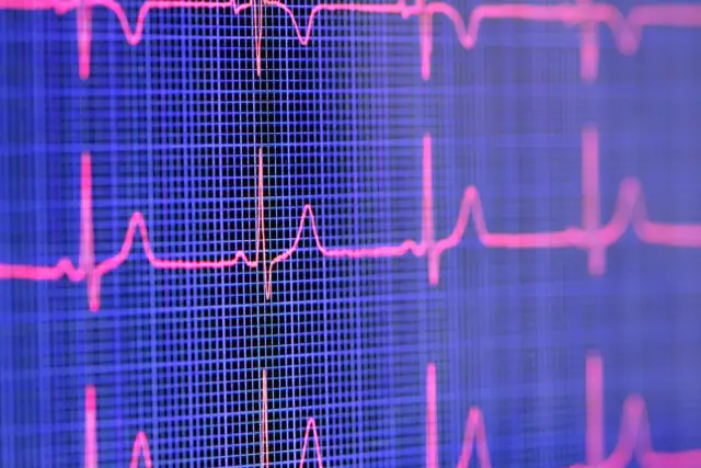 Исследования показывают важность длинных некодирующих РНК, регулирующих клеточные процессы: открытие может привести к пониманию улучшения регенерации мышц и лечения рака