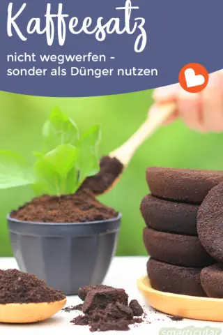 Звуки летучих мышей содержат множество различимой информации: анализируя около 15 000 вокализаций летучих мышей, исследователи определяют говорящих, цели и контексты разговоров летучих мышей