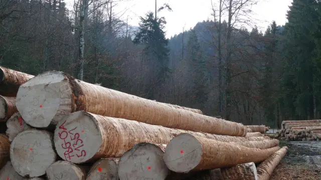 Расширение австралийских заповедников для сказочных опоссумов может происходить за счет других видов: существующие заповедники оцениваются как малопригодные для находящихся под угрозой исчезновения ск