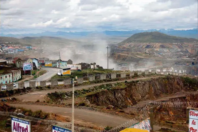 Исследование андских медведей в Перу показало, что люди не единственные посетители Мачу-Пикчу: историческое святилище, в котором находятся самые знаковые сооружения инков, также является домом для важ