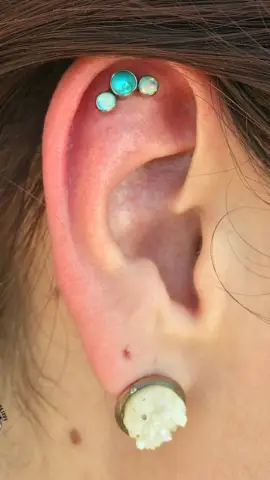 Обнаружены три новых вида вымерших южноамериканских сумчатых: находки показывают, что семейство Palaeothentidae когда-то было широко распространено по всему континенту, но это усиливает сомнения в отн