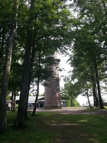 Ранние свидетельства наличия снарядов среднего каменного века, найденных в пещере Сибуду в Южной Африке: двусторонние зубчатые наконечники, вероятно, созданные методом отслаивания под давлением и закр